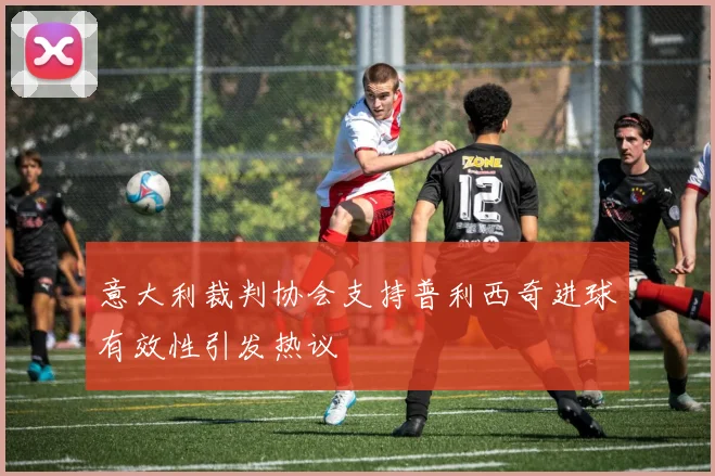 意大利裁判协会支持普利西奇进球有效性引发热议