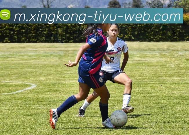 星空体育品牌故事